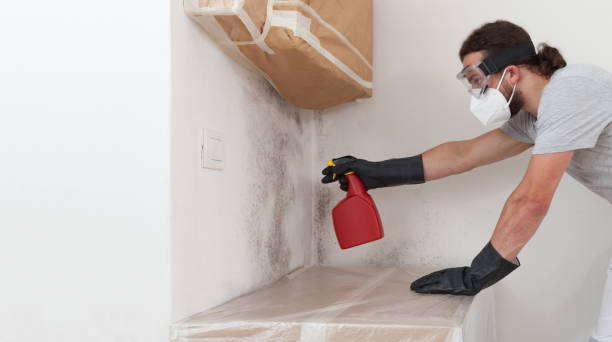 Professional Bathroom Mold Removal technician working in Adamstown, PA